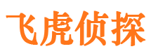 颍上市婚外情调查